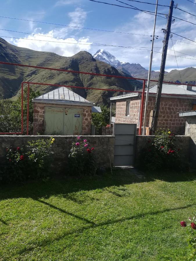 Guest House Lela Rezo Kazbegi Kültér fotó