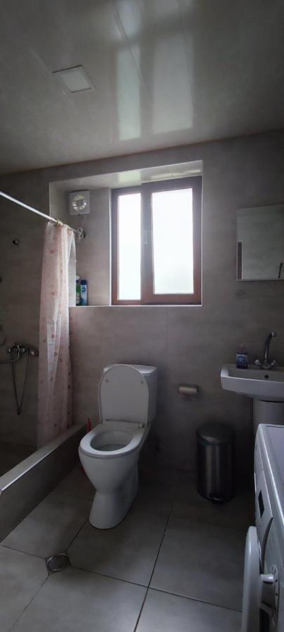 Guest House Lela Rezo Kazbegi Kültér fotó