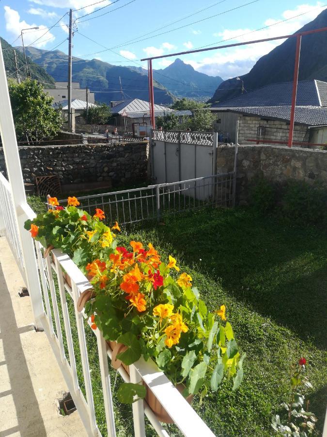 Guest House Lela Rezo Kazbegi Kültér fotó
