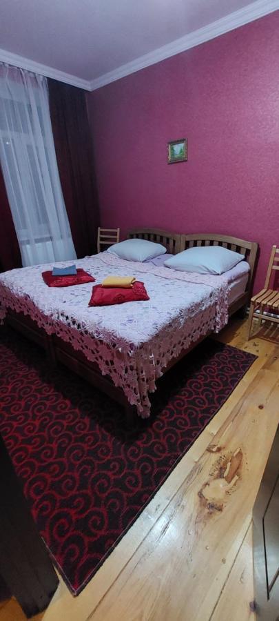 Guest House Lela Rezo Kazbegi Kültér fotó